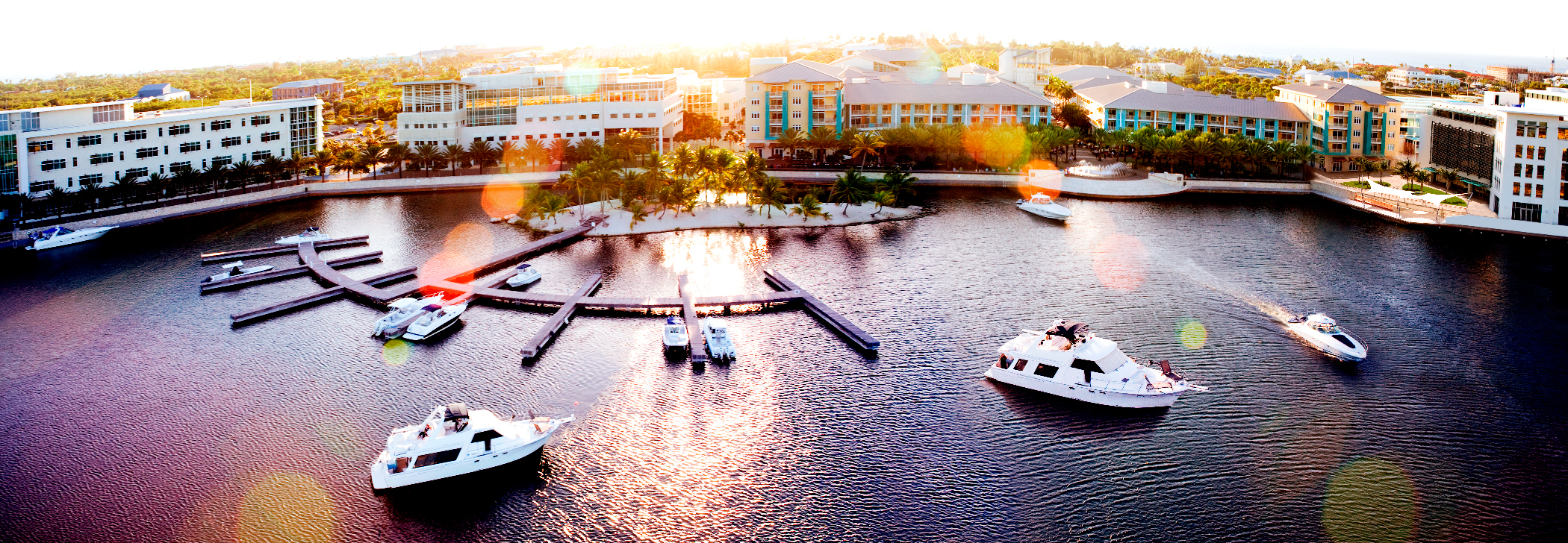 Trust Officer Jobs in the Cayman Islands Hamilton Recruitment