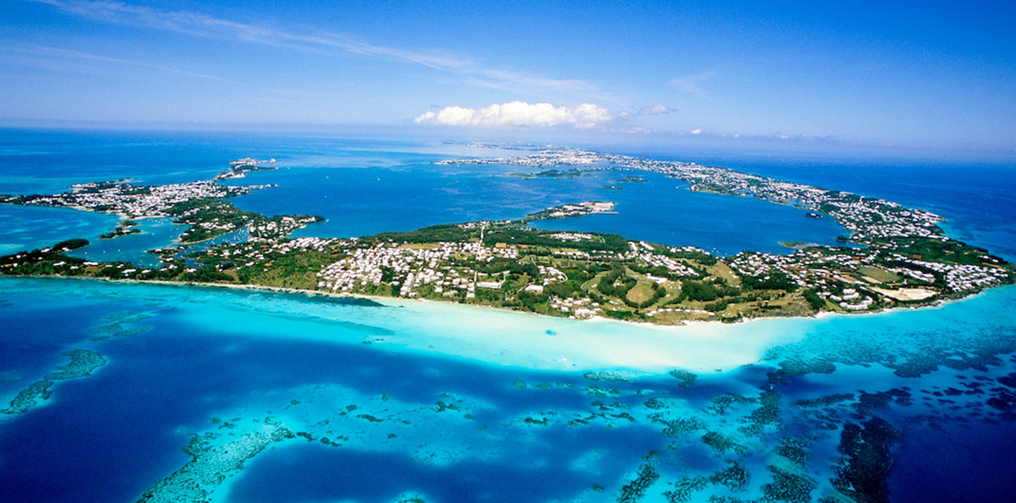 Bermuda Start-up